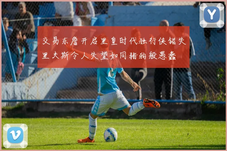 交易东詹开启里皇时代独行侠错失里夫斯令人失望如同猪狗般愚蠢